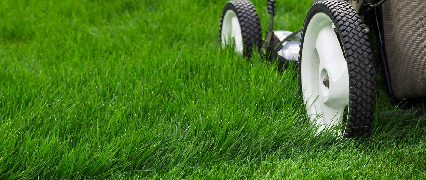 2X18V 2.5Ah Cordless Lawn Mower